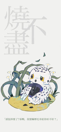 烧不尽
